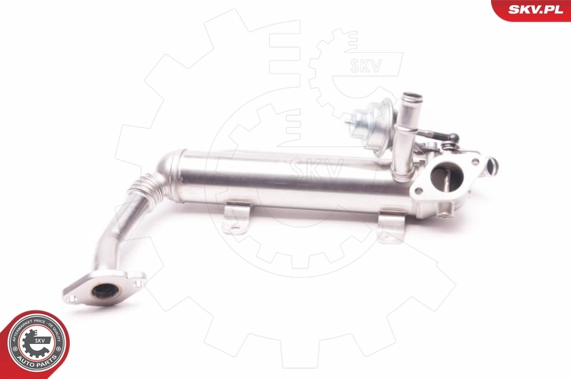 EGR Valve